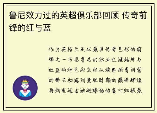 鲁尼效力过的英超俱乐部回顾 传奇前锋的红与蓝